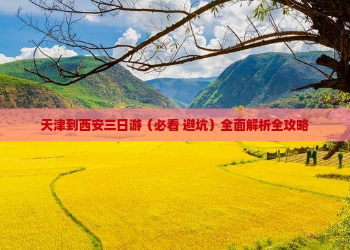 天津到西安回民街三日游 天津到西安回民街三日游