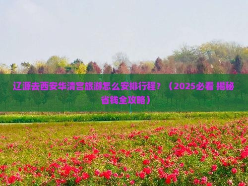 辽源到西安华清宫旅行社