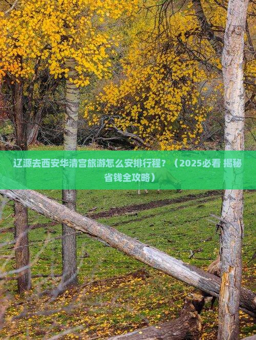 辽源到西安华清宫旅行社