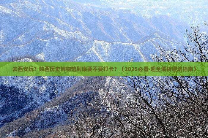 黄石去西安陕西历史博物馆必去地