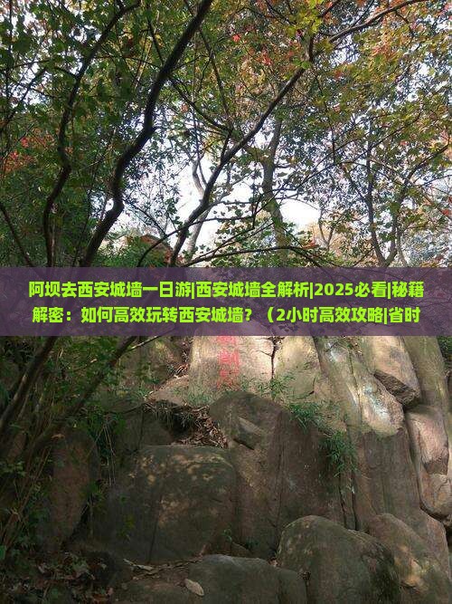 阿坝去西安城墙一日游