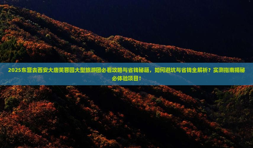 东营去西安大唐芙蓉园大型旅游团