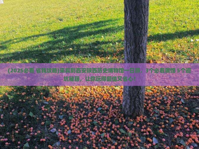 来宾到西安陕西历史博物馆一日游