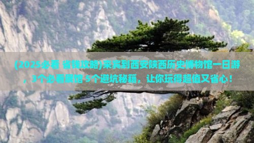 来宾到西安陕西历史博物馆一日游