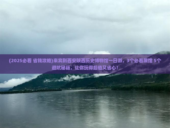 来宾到西安陕西历史博物馆一日游