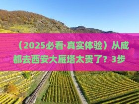 成都到西安大雁塔旅行社