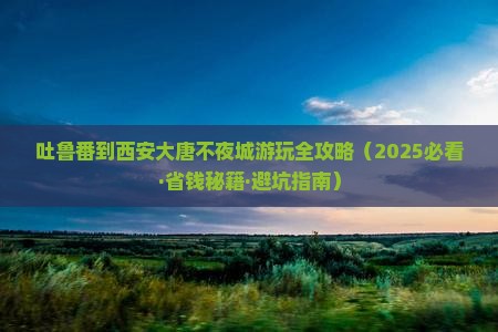 吐鲁番到西安大唐不夜城景点