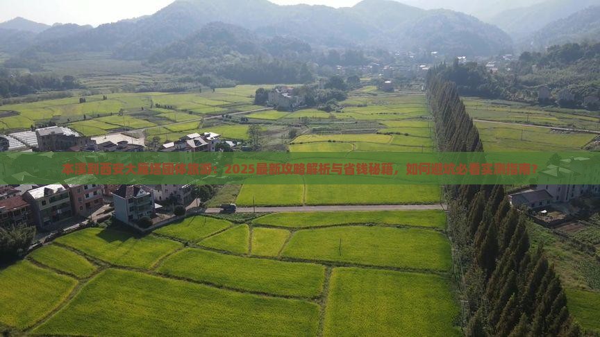 本溪到西安大雁塔团体旅游
