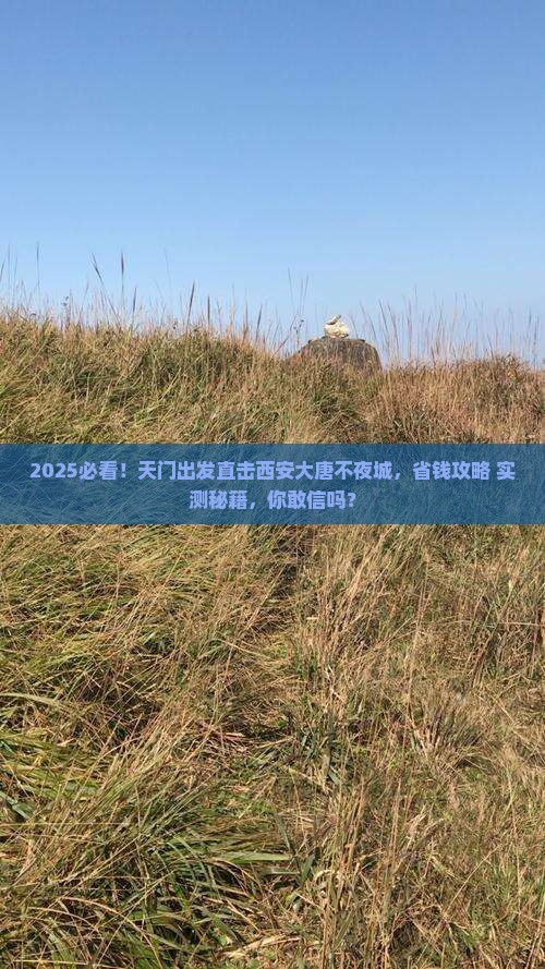 天门到西安大唐不夜城五日游