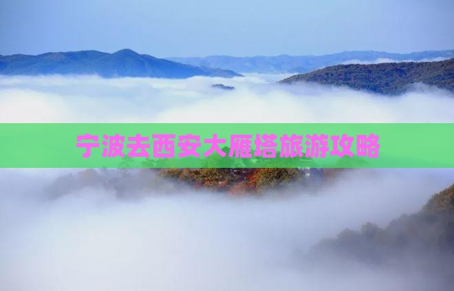 宁波去西安大雁塔团体旅游