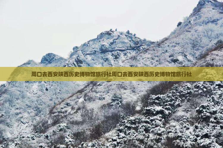 周口去西安陕西历史博物馆旅行社
