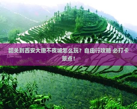 韶关到西安大唐不夜城个人游