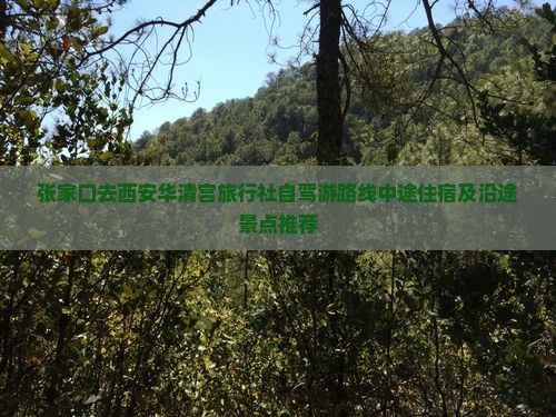 张家口去西安华清宫旅行社