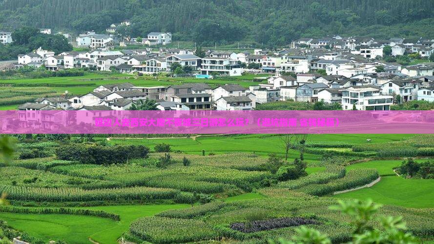 延边到西安大唐不夜城三日游