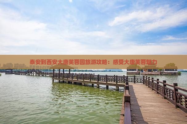 泰安到西安大唐芙蓉园攻略