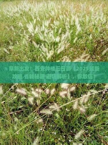 阜新去西安钟楼三日游