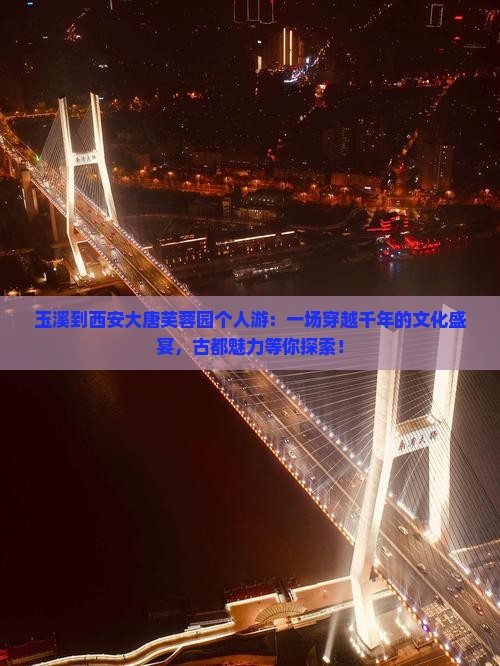 玉溪到西安大唐芙蓉园个人游