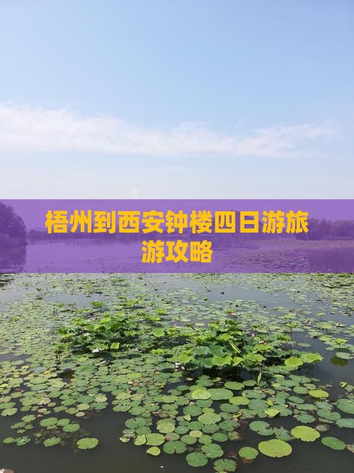 梧州到西安钟楼四日游