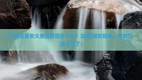 东营去西安大唐芙蓉园哪里玩