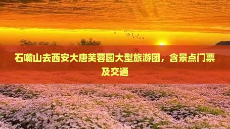 石嘴山去西安大唐芙蓉园大型旅游团