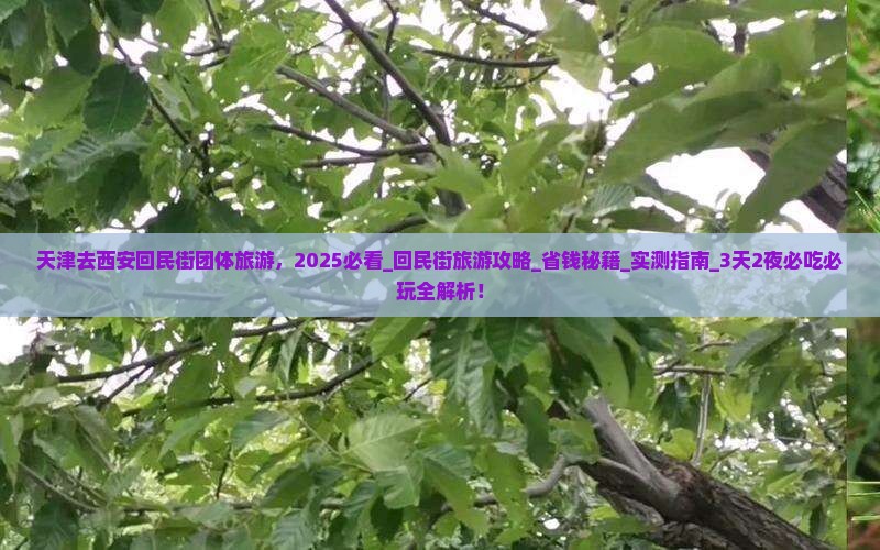 天津去西安回民街团体旅游