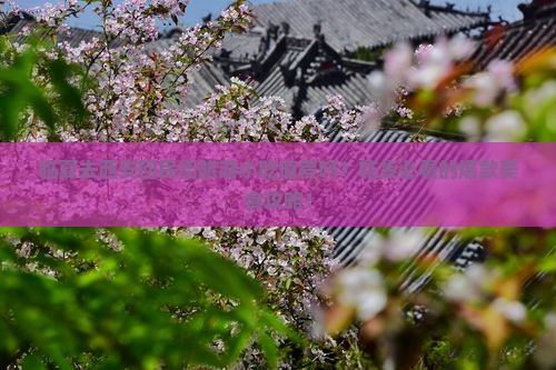 临夏去西安回民街旅游小吃