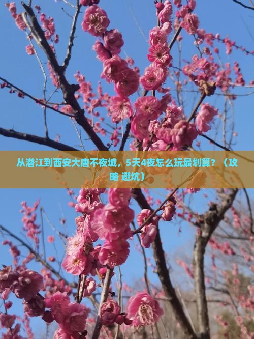 潜江去西安大唐不夜城门票