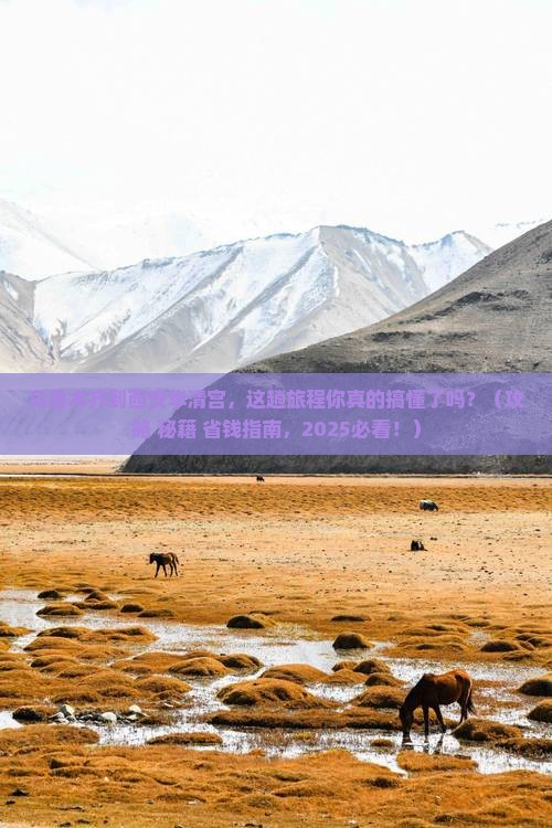 乌鲁木齐到西安华清宫必去地