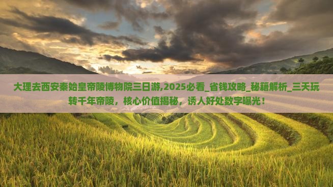 大理去西安秦始皇帝陵博物院三日游