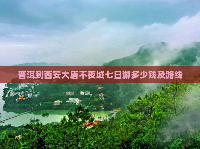 普洱到西安大唐不夜城七日游