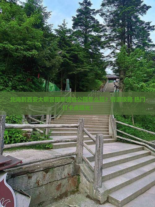 北海到西安大明宫国家遗址公园旅游