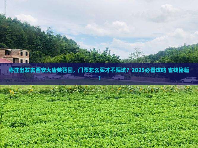 枣庄去西安大唐芙蓉园门票