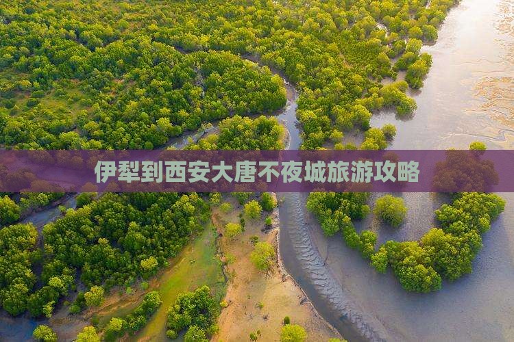 伊犁到西安大唐不夜城旅行社