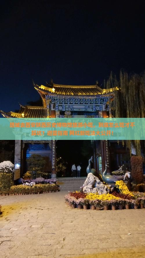 塔城去西安陕西历史博物馆旅游小吃