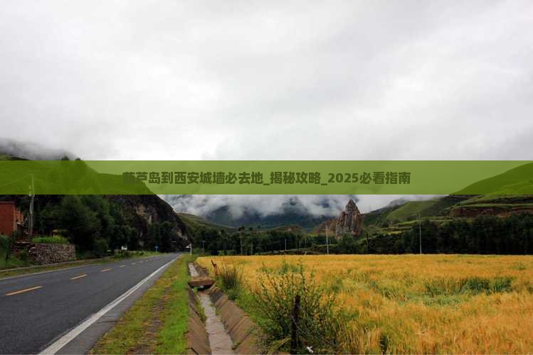 葫芦岛到西安城墙必去地