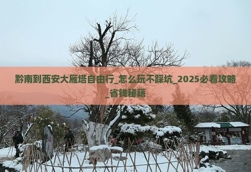 黔南到西安大雁塔自由行