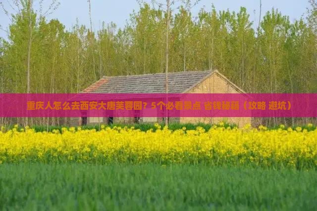 重庆去西安大唐芙蓉园团体旅游