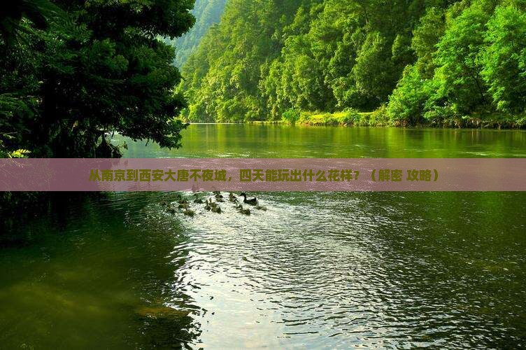 南京去西安大唐不夜城四日游
