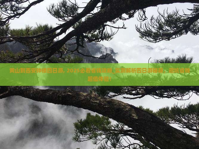 黄山到西安钟楼四日游