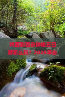 鸡西到西安钟楼五日游