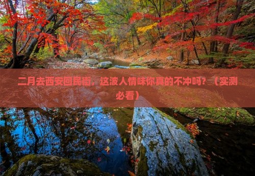 二月去西安回民街旅游