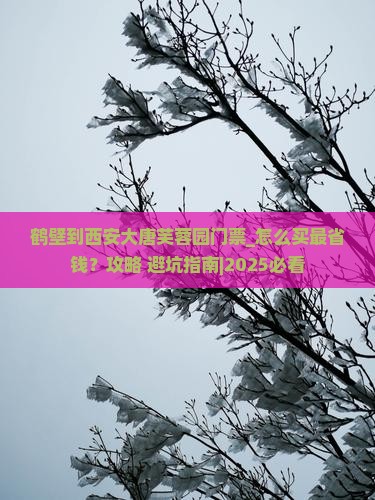 鹤壁到西安大唐芙蓉园门票
