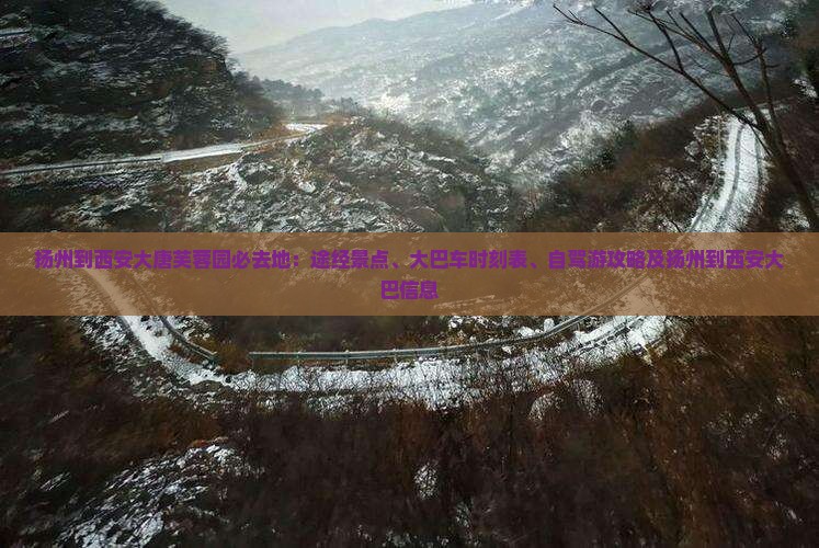 扬州到西安大唐芙蓉园必去地