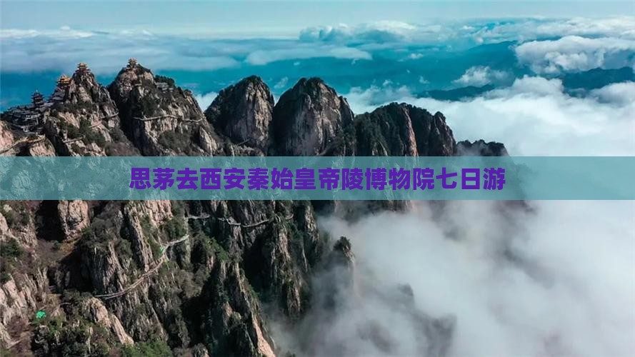 思茅去西安秦始皇帝陵博物院七日游