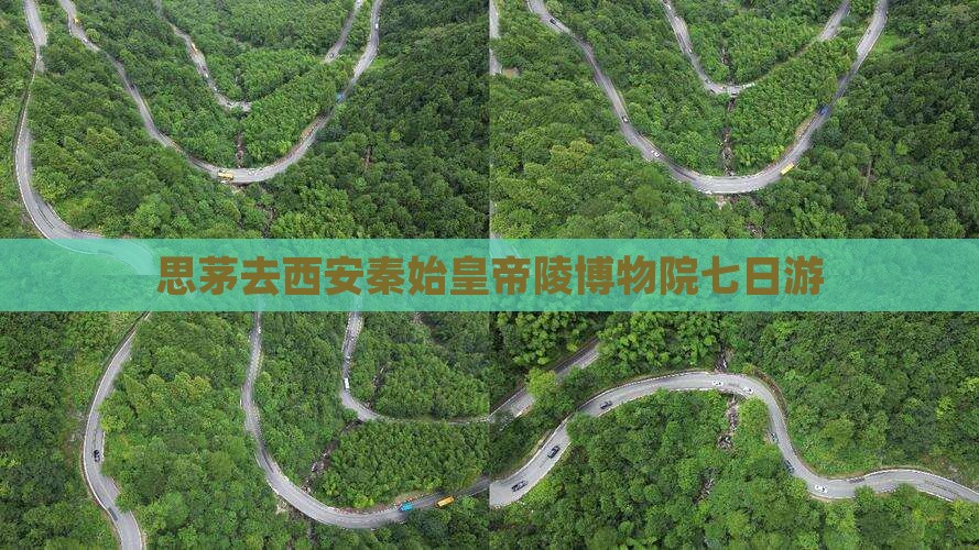 思茅去西安秦始皇帝陵博物院七日游