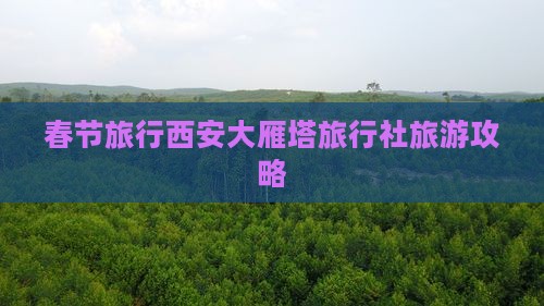 春节去西安大雁塔旅行社