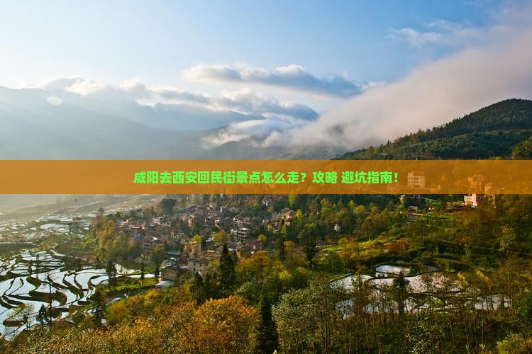 咸阳去西安回民街景点