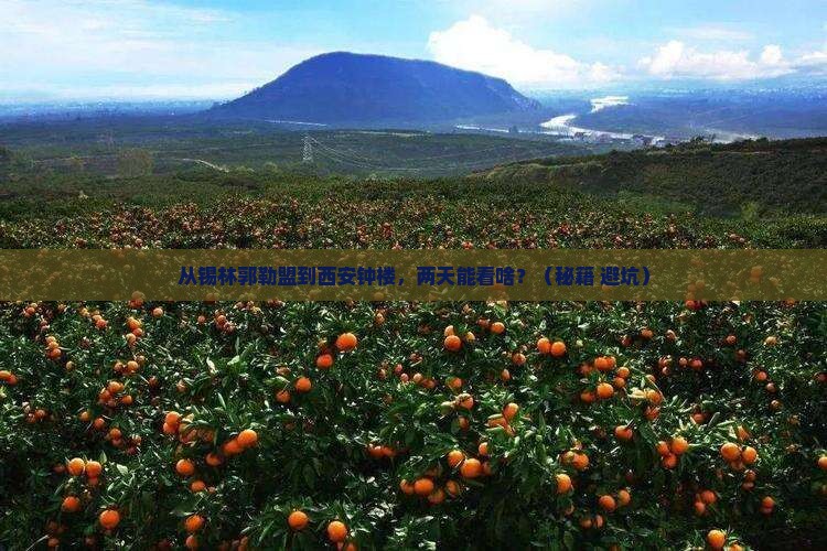 锡林郭勒盟到西安钟楼二日游