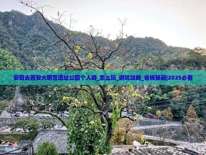 安阳去西安大明宫国家遗址公园个人游