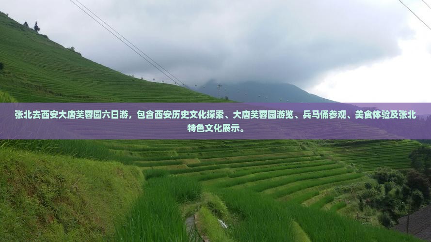 张北去西安大唐芙蓉园六日游